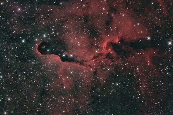 IC1396